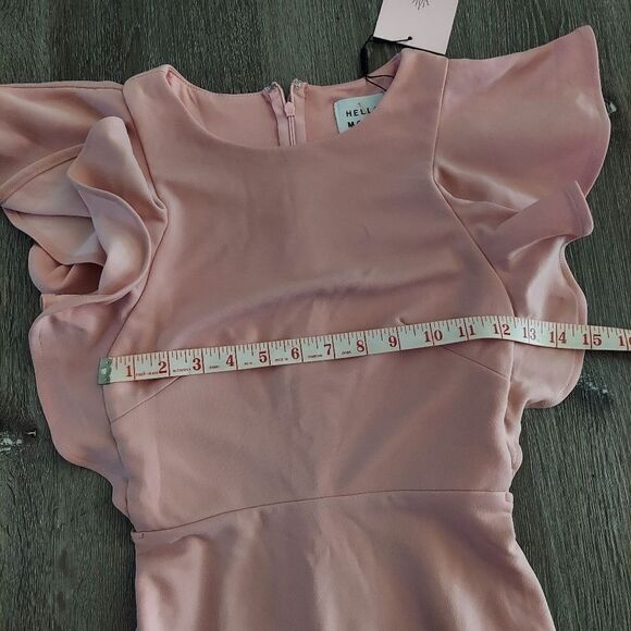 HELLO MOLLY TAKE CHANCES DRESS BLUSH RUFFLE MINI SIZE 4 - Picture 12 of 14